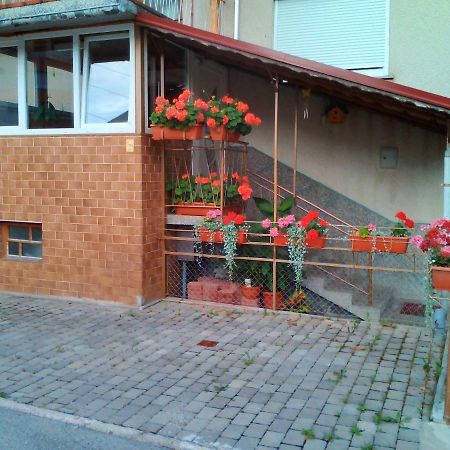Apartment Janja Vojnik Extérieur photo