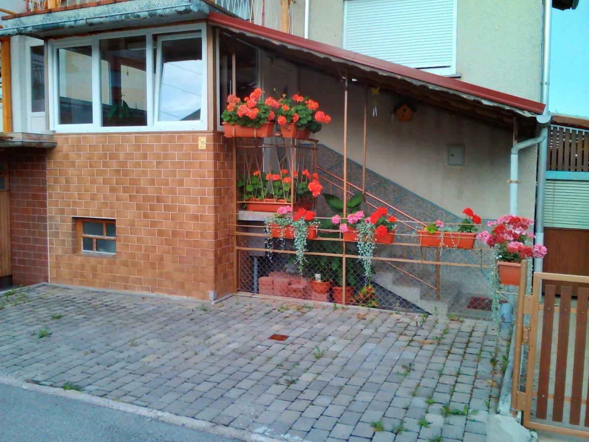 Apartment Janja Vojnik Extérieur photo