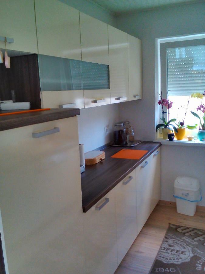 Apartment Janja Vojnik Extérieur photo