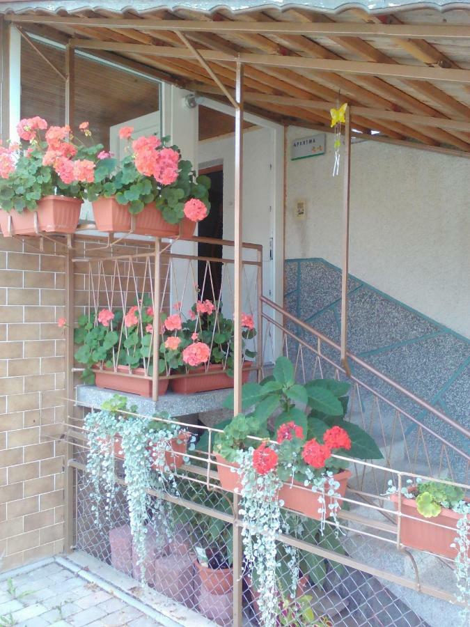 Apartment Janja Vojnik Extérieur photo