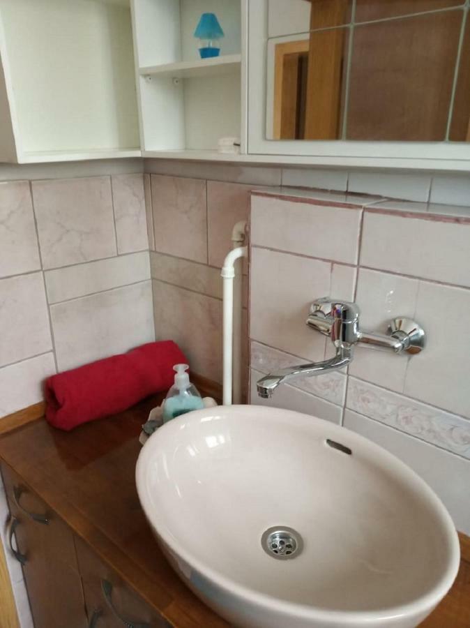 Apartment Janja Vojnik Extérieur photo